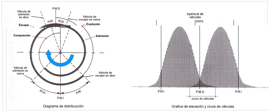 grafica-apertura[1].jpg