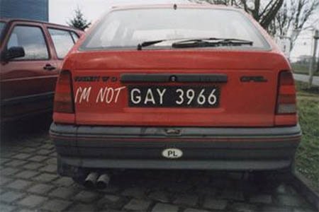 iamnotgay[1].jpg