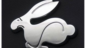 rabbit.jpg